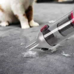 Beste Bewertungen von 🛒 Genius Invictus One 2.0 | Hand- Und Bodenstaubsauger | Set 12-tlg. 💯 15 Beste Bewertungen von 🛒 Genius Invictus One 2.0 | Hand- Und Bodenstaubsauger | Set 12-tlg. 💯 -Genius Verkäufe unnamed file 366