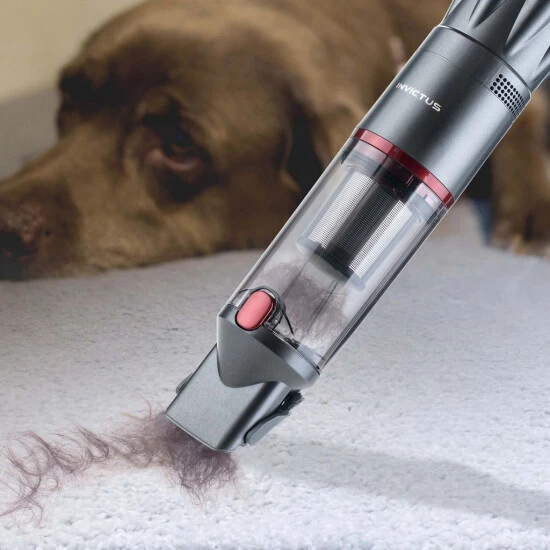 Bester Verkauf ❤️ Genius Invictus One Handstaubsauger (8 Teile) Maximale Power Im Handformat | Beutelloser Und Kabelloser Akustaubsauger; 😉 8 Bester Verkauf ❤️ Genius Invictus One Handstaubsauger (8 Teile) Maximale Power Im Handformat | Beutelloser Und Kabelloser Akustaubsauger; 😉 – Bild 6